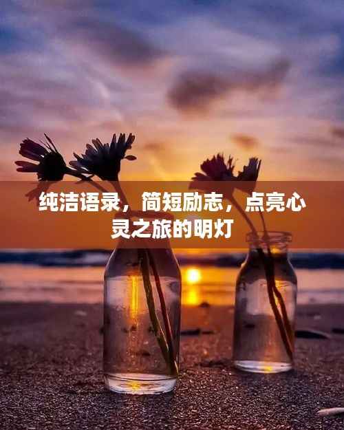 手不释卷 第2页