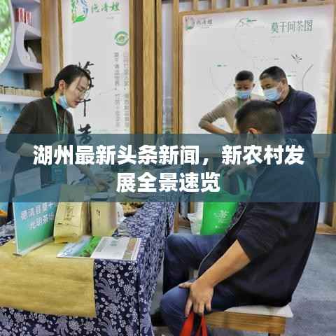 湖州最新头条新闻,新农村发展全景速览