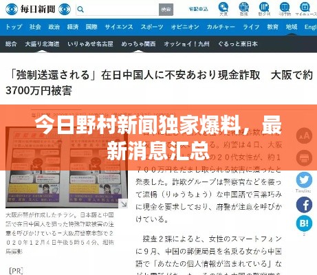 今日野村新闻独家爆料,最新消息汇总