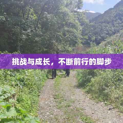 挑战与成长,不断前行的脚步