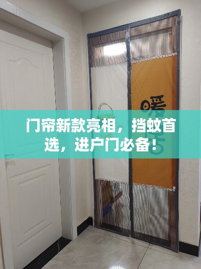 门帘新款亮相,挡蚊首选,进户门必备!