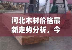 营销网络 第143页