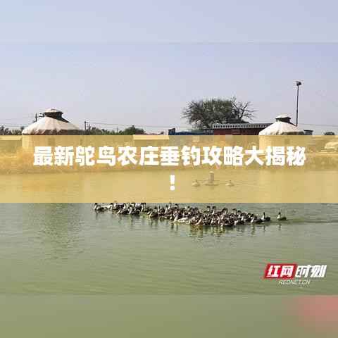 祖道供张 第2页