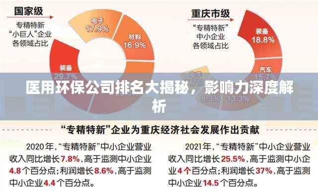 医用环保公司排名大揭秘,影响力深度解析