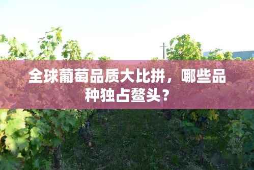 后会难期 第2页