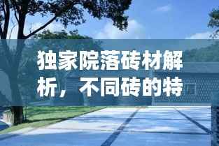 蜎飞蠢动 第2页