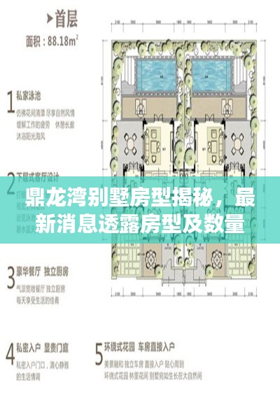 销声匿迹 第2页
