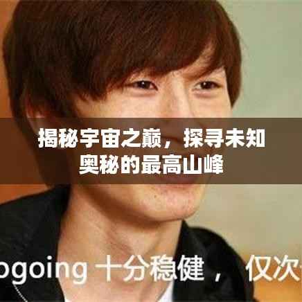 展翅高飞 第2页