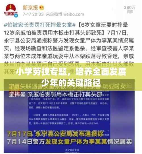 小学劳技专题,培养全面发展少年的关键路径