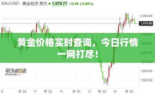 黄金价格实时查询，今日行情一网打尽！