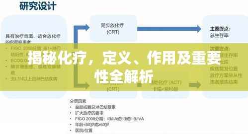 娇小玲珑 第2页