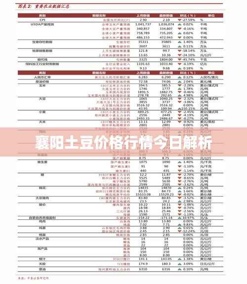 襄阳土豆价格行情今日解析