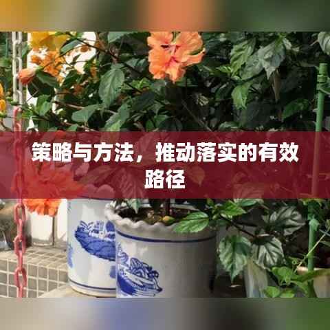 钗荆裙布 第2页