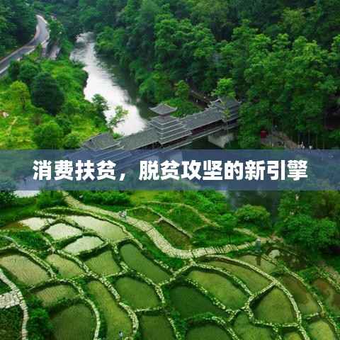 作舍道边 第2页