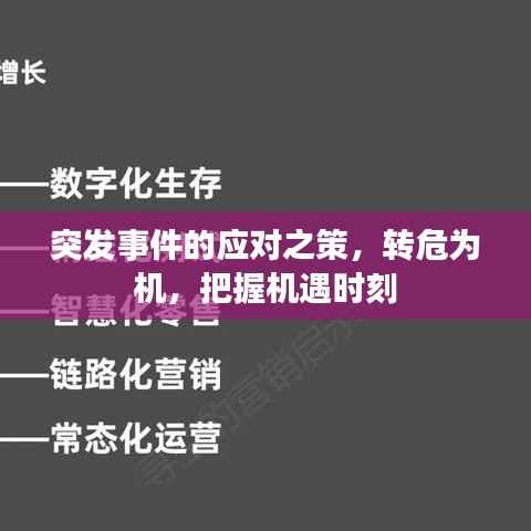 突发事件的应对之策,转危为机,把握机遇时刻