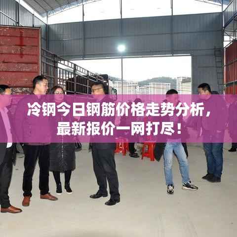 冷钢今日钢筋价格走势分析,最新报价一网打尽!