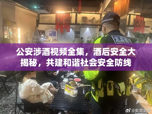 公安涉酒视频全集,酒后安全大揭秘,共建和谐社会安全防线