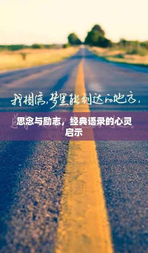 营销网络 第88页