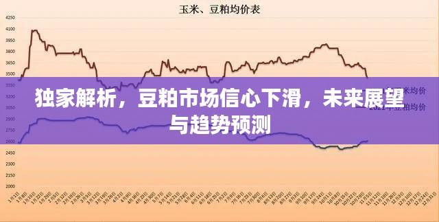 独家解析,豆粕市场信心下滑,未来展望与趋势预测