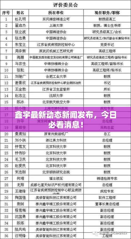 鑫宇最新动态新闻发布,今日必看消息!