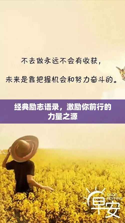经典励志语录,激励你前行的力量之源