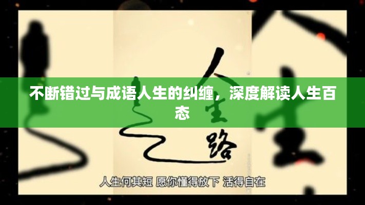 不断错过与成语人生的纠缠,深度解读人生百态