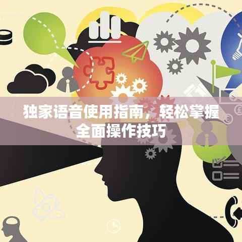 独家语音使用指南,轻松掌握全面操作技巧