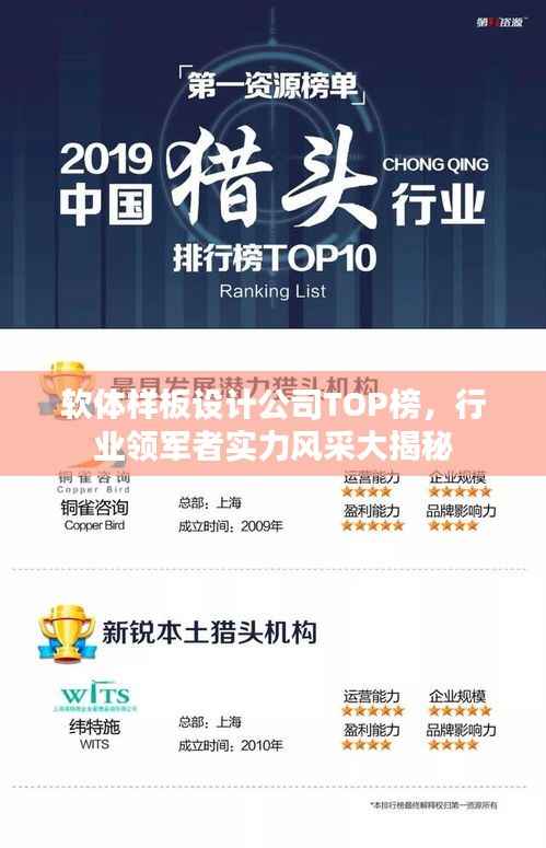 比张比李 第2页