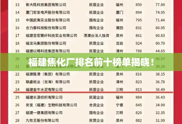 福建焦化厂排名前十榜单揭晓!