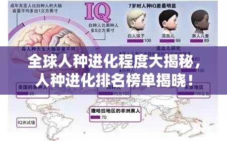 营销网络 第61页