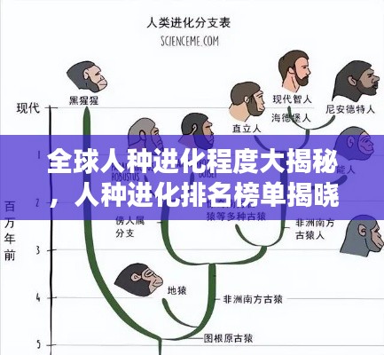 全球人种进化程度大揭秘,人种进化排名榜单揭晓!